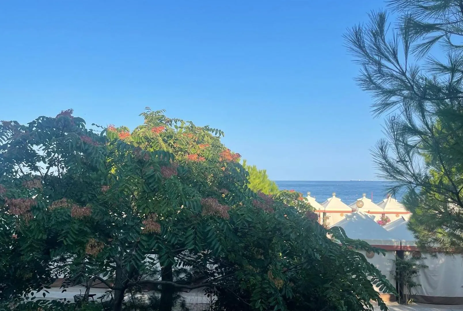 Hotel Petit Palais Lido di Venezia Italy